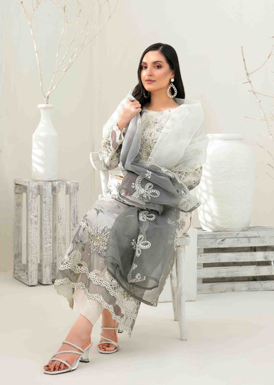 YSN-4034 - Unstitched - Yasna Embroidered Fancy Organza Suit 2025 - Memsaab Online