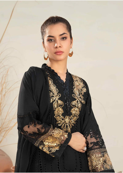 SBMT-17 - Mamba - Readymade - 2 Piece Sahiba by Mirza Suit 2025 - Memsaab Online