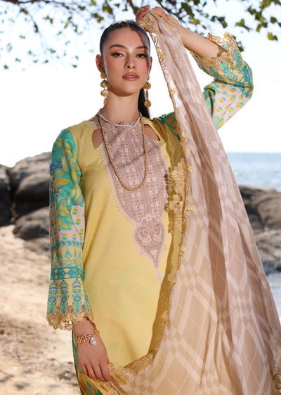 AN4-08 - Unstitched - Charizma Aniq Summer Volume 01 2024 - Memsaab Online