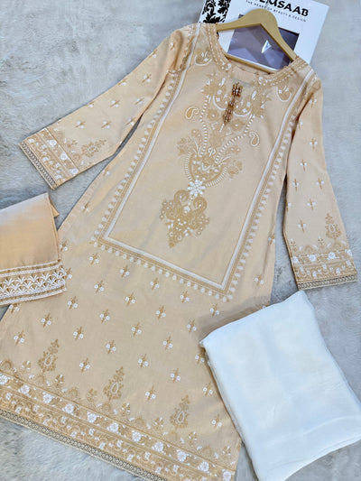 MYSTERY HEERAS SUIT - Memsaab Online