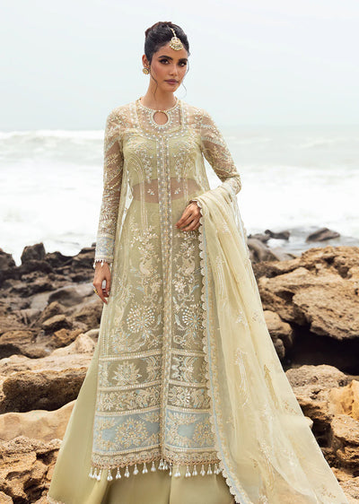 AVCR-09 - Leela - Unstitched - Dastangoi Collection by Afrozeh 2024 - Memsaab Online