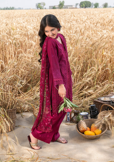 AL-1045 Readymade Kids Suit by Ally's 2025 - Memsaab Online