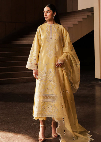 AYL24-01 - Canary - Unstitched - Festive Chickenkari Lawn Collection 2024 - Memsaab Online