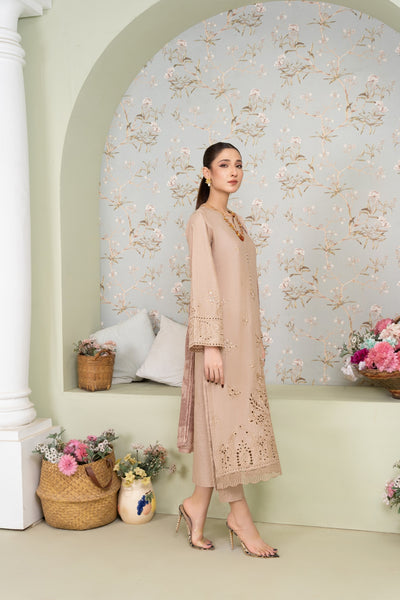 MSBMT-18 - Vanzila -Beige Readymade Outfit - 3 Piece Suit 2025 - Memsaab Online