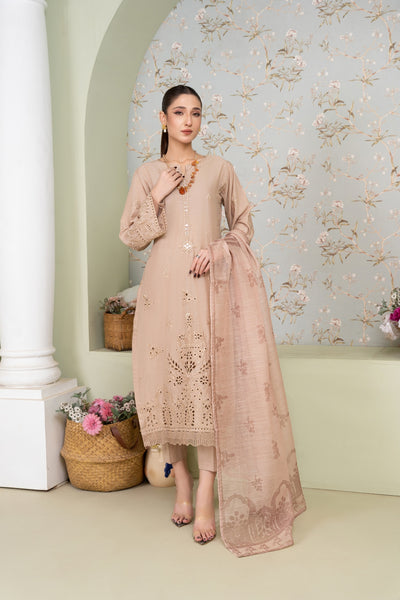 MSBMT-18 - Vanzila -Beige Readymade Outfit - 3 Piece Suit 2025 - Memsaab Online