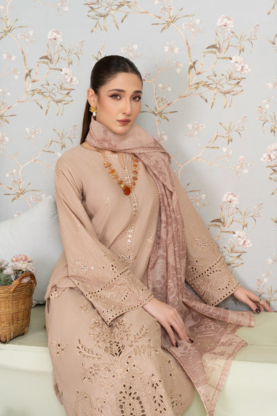 MSBMT-18 - Vanzila -Beige Readymade Outfit - 3 Piece Suit 2025 - Memsaab Online