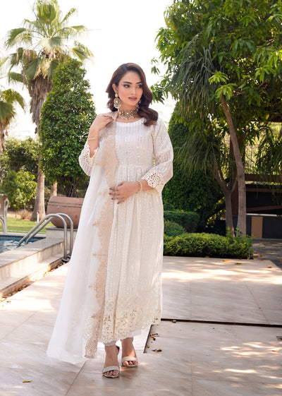 HK318 - Readymade Chiffon Outfit 2025 - Memsaab Online