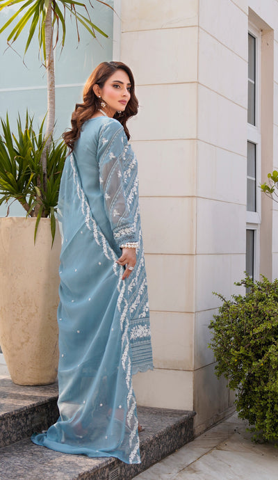 HK312 - Readymade Chiffon Outfit 2025 - Memsaab Online