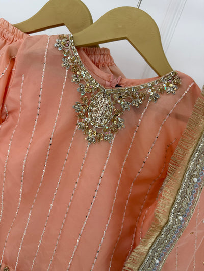 SRB1204 - Mallika - Sehrish.B Designer - Memsaab Online