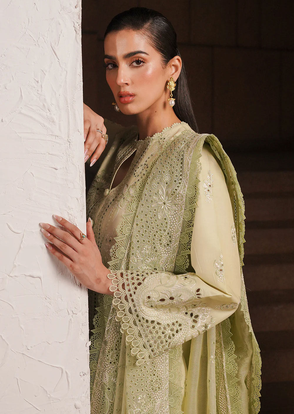 AYL24-04 - Kelly - Unstitched - Festive Chickenkari Lawn Collection 2024 - Memsaab Online