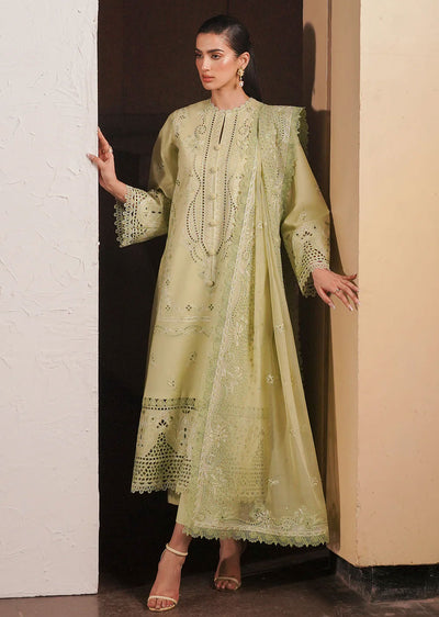 AYL24-04 - Kelly - Unstitched - Festive Chickenkari Lawn Collection 2024 - Memsaab Online