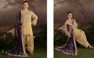 AM-14 Nureh Amaya Lux Chiffon Suit - Memsaab Online