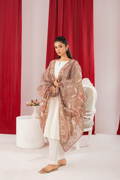 MSBMT-37 -Fizzy - Readymade Outfit - 3 Piece Suit 2025 - Memsaab Online