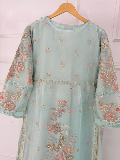 SRB3248- ZARA - Sehrish B Design 2025 - Memsaab Online