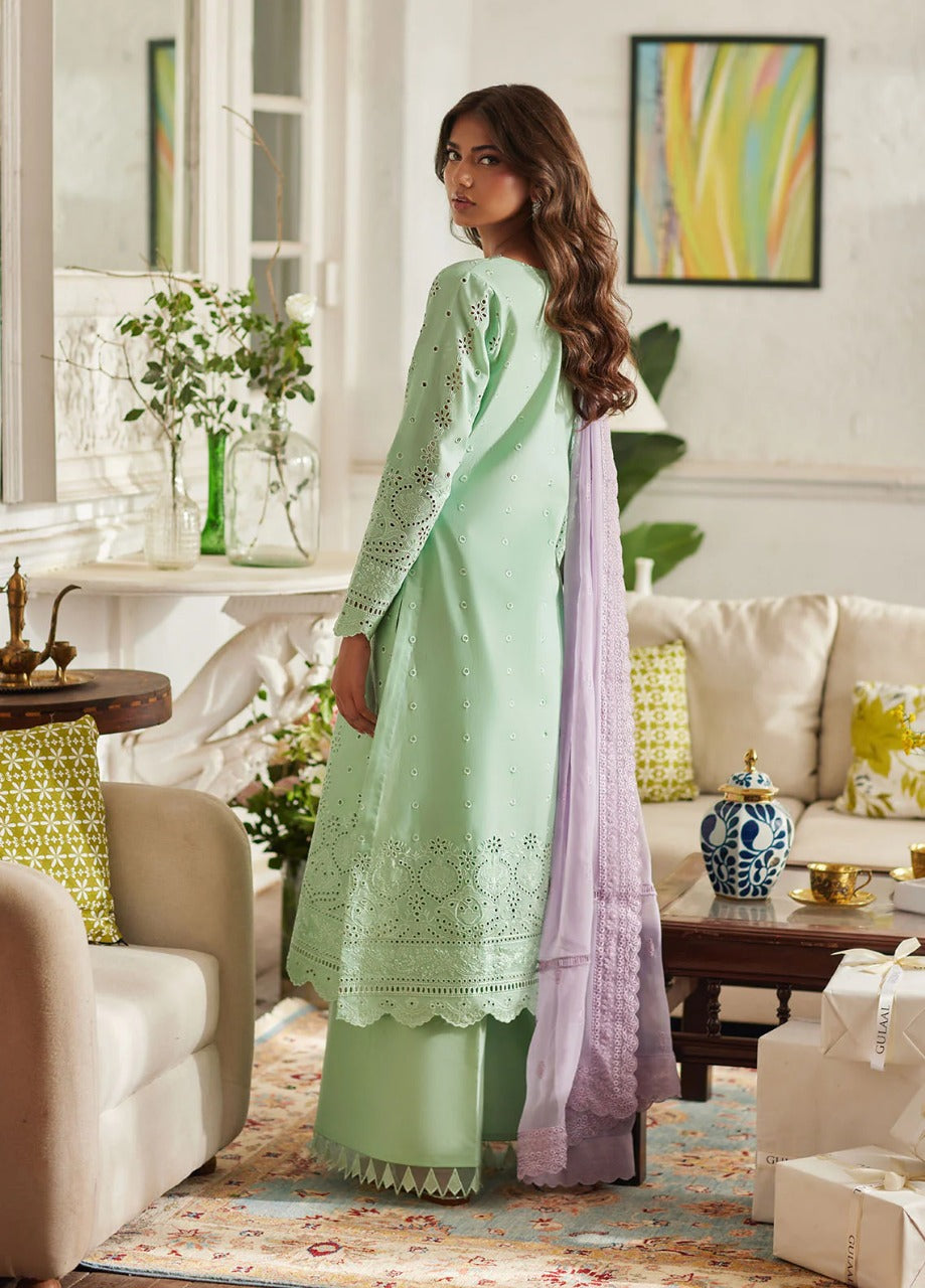 GC-07 - Alira - Ready Made Gulaal Chikankaari Lawn Collection 2025 - Memsaab Online