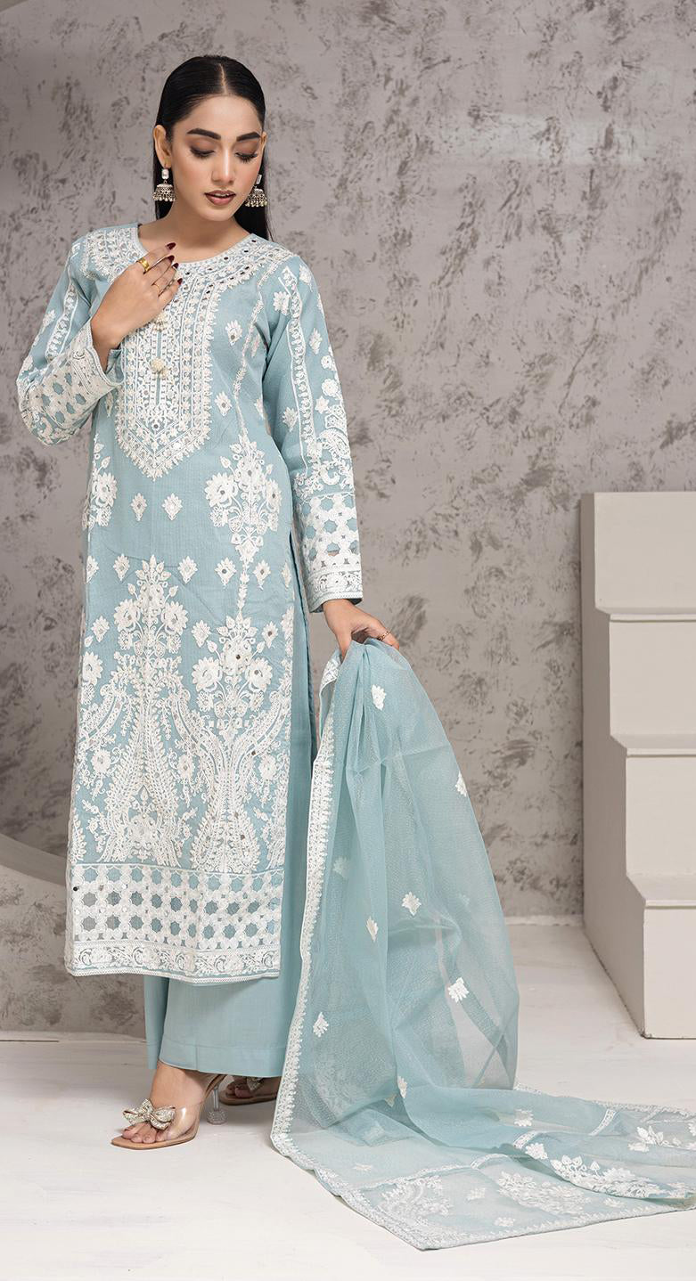 RGZ7103 - Rangz Organza Suit - Memsaab Online