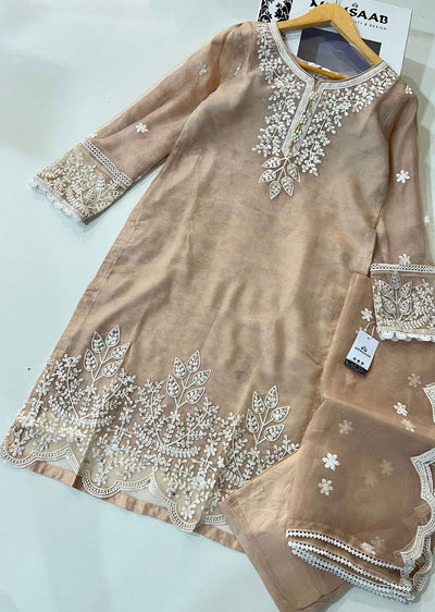 KLD322 Lamisa - Beige Readymade Organza Suit - Memsaab Online