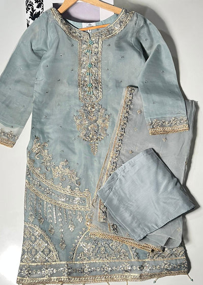 KLD323 Maya - Grey Readymade Organza Suit - Memsaab Online