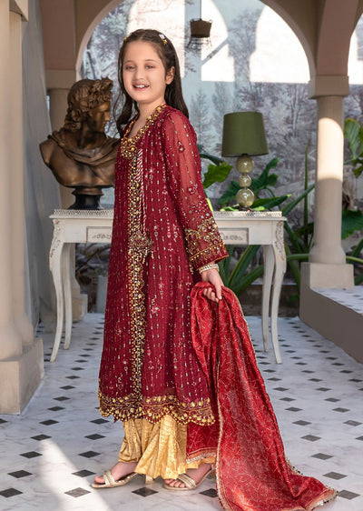 AL-3860 Readymade Maroon Ally's Dress Mummy and Me - Memsaab Online