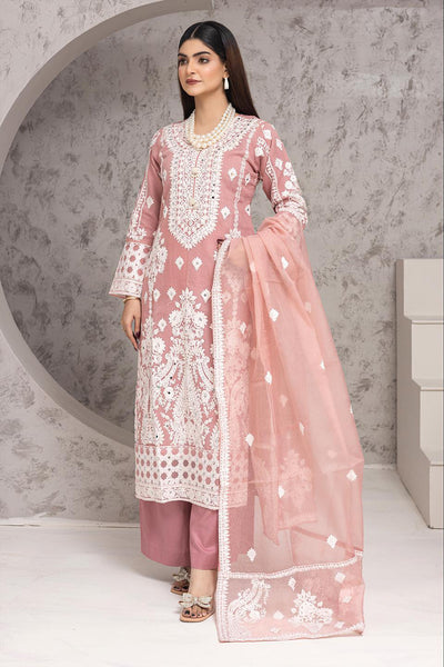 RGZ7103 - Rangz Organza Suit - Memsaab Online