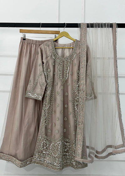 RH2110 ZENA - Pink Fancy Net Outfit - Memsaab Online