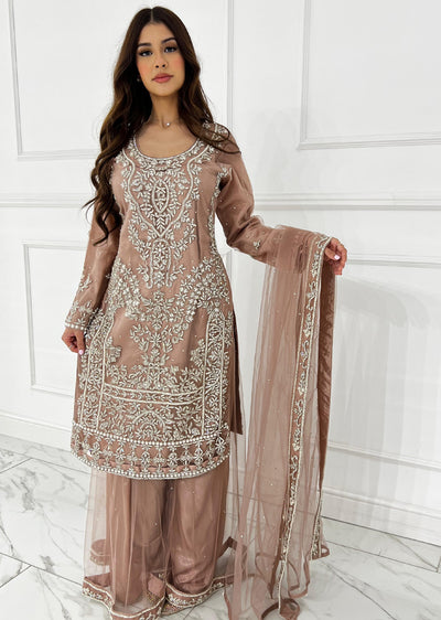 RH2111 Aaina - Pink Fancy Net Outfit - Memsaab Online