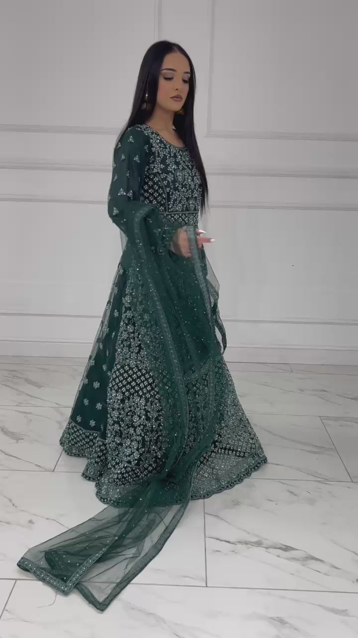 RH2112 Riya - Green Fancy Net Maxi Dress