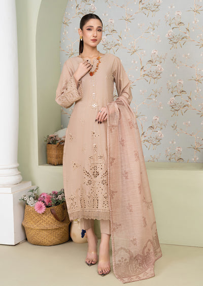 MSBMT-18 - Vanzila -Beige Readymade Outfit - 3 Piece Suit 2025 - Memsaab Online
